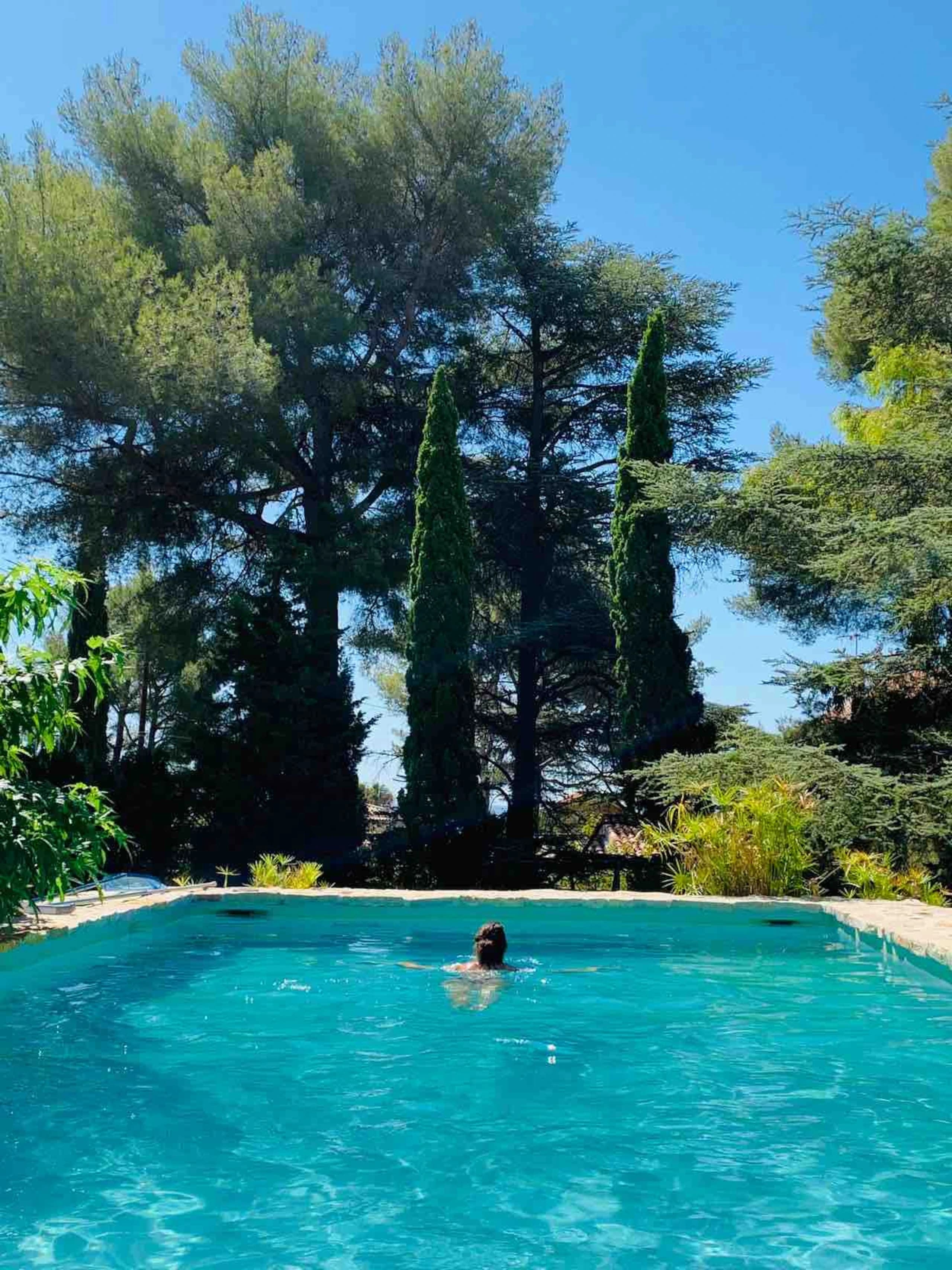 Un coin du jardin