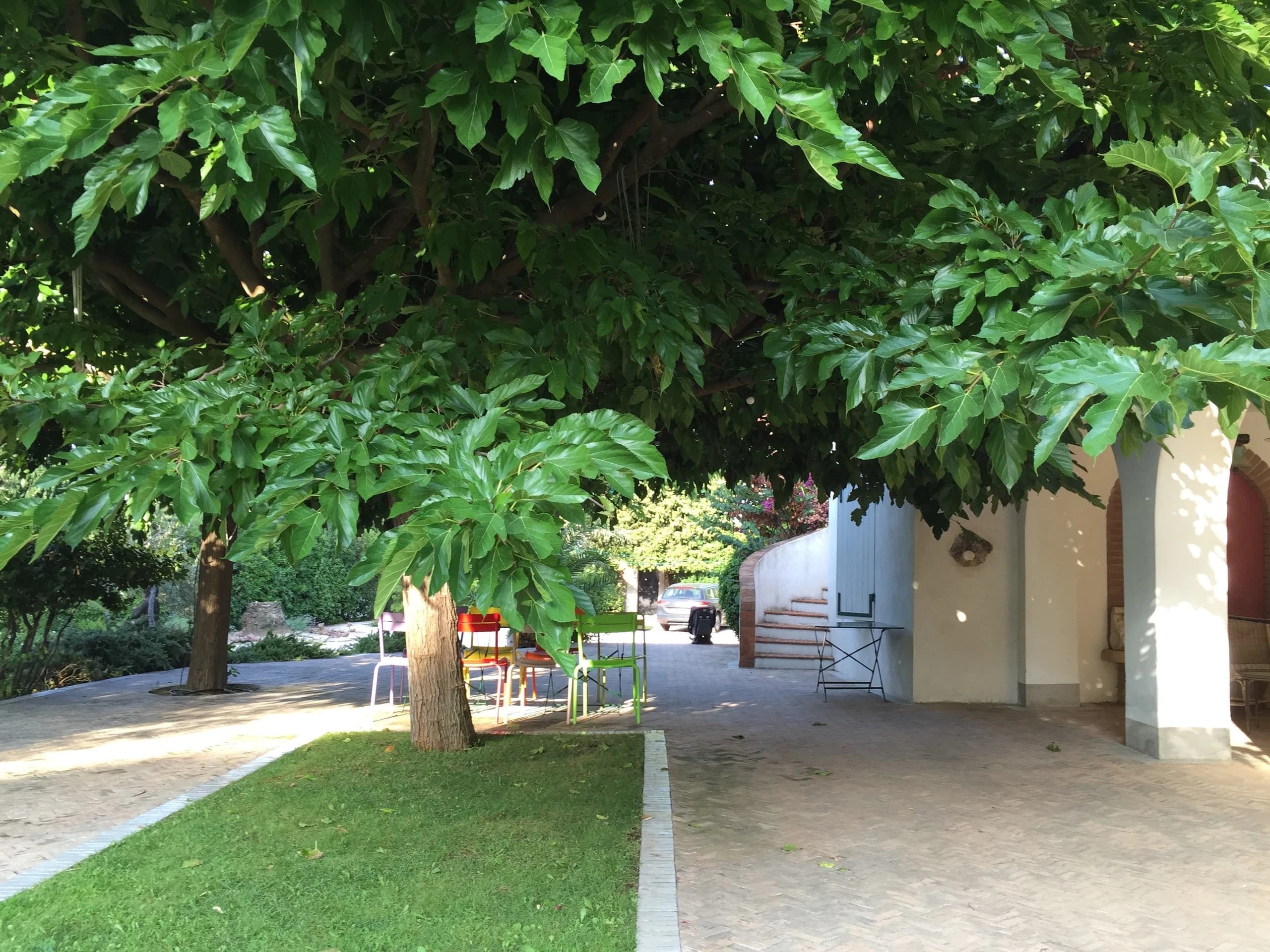 La terrasse principale